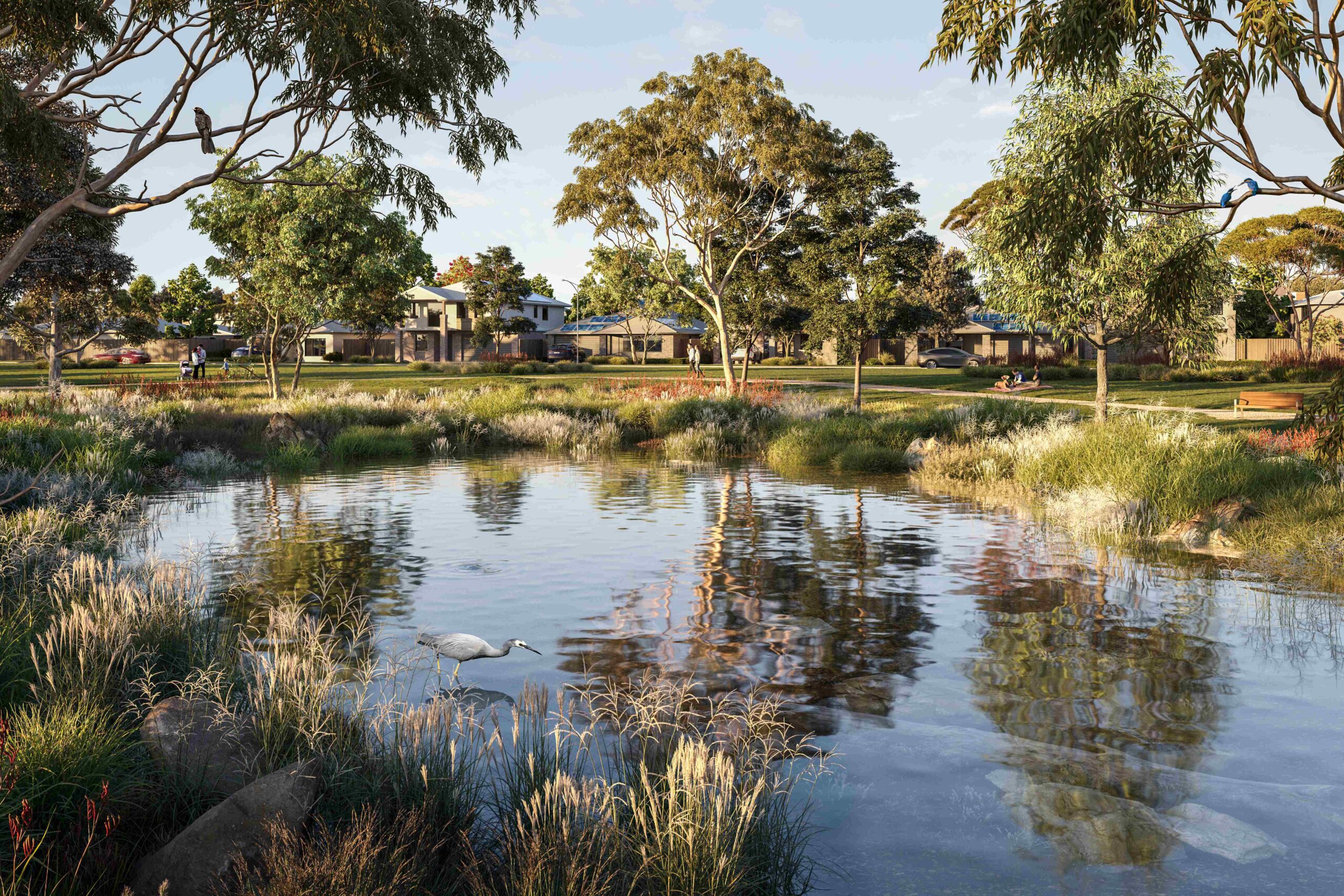 Wetland render of Cranbourne